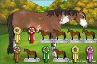 Horse Color:Bay Sabino 