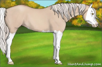 Horse Color:Silver Classic Champagne Dun Splash 