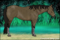 Horse Color:ERROR: UNKNOWN ANOMALY