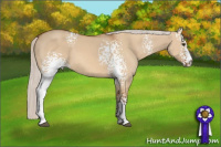 Horse Color:White Spotted Silver Bay Dun