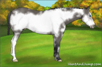 Horse Color:White Spotted Black Frame 