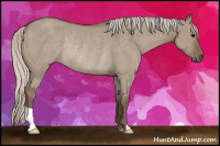 Horse Color:Silver Grullo Rabicano