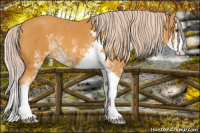 Horse Color:Palomino Sabino Splash 