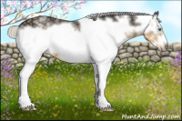 Horse Color:White Spotted Silver Smoky Black Frame