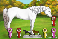 Horse Color:Bay Roan Splash Varnish 