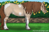 Horse Color:Red Dun Tobiano Frame