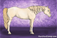 Horse Color:Buckskin Pearl 