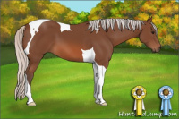 Horse Color:Silver Bay Tobiano