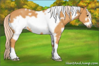 Horse Color:White Spotted Chocolate Palomino Frame