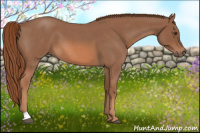 Horse Color:Red Roan 