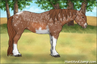 Horse Color:Liver Chestnut Ice Tobiano Frame