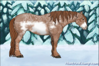 Horse Color:Red Ice Roan Frame Rabicano 