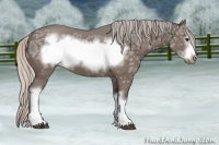 Horse Color:Silver Black Ice Frame 
