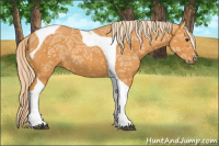 Horse Color:Chocolate Palomino Ice Tobiano 