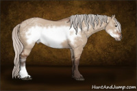 Horse Color:Silver Brown Ice Dun Frame 