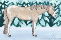 Horse Color:Silver Bay Ice Dun Splash Tobiano 