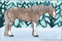 Horse Color:Silver Black Ice Sabino Splash Tobiano 