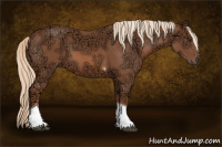 Horse Color:Liver Chestnut Ice Tobiano 