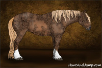 Horse Color:Liver Chestnut Ice Tobiano