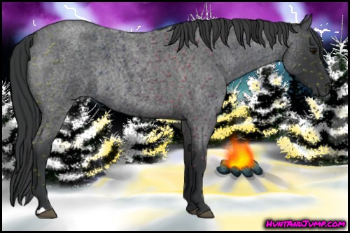 Horse Color: Brown Roan Rabicano 