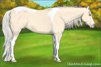 Horse Color:Silver Amber Cream Champagne Dun Splash Tobiano 