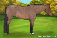 Horse Color:Bay Roan Rabicano
