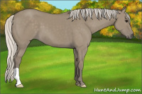 Horse Color:Silver Smoky Grullo 