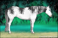 Horse Color:White Spotted Blue Roan Splash 