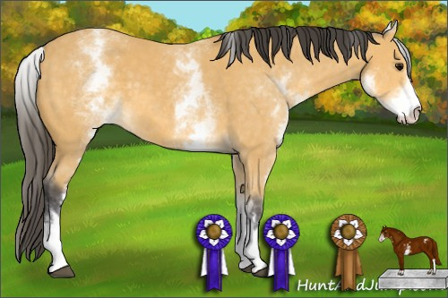 Horse Color: White Spotted Buckskin 
