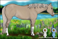 Horse Color:Silver Grullo 