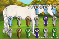 Horse Color:Cremello Dun Sabino 