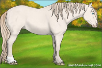 Horse Color:Perlino Dun 