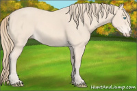 Horse Color:Perlino 