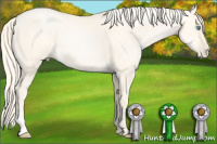 Horse Color:Palomino Pearl Dun
