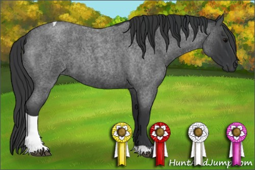 Horse Color: Blue Roan Tobiano 