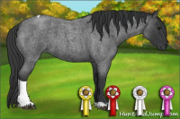 Horse Color:Blue Roan Tobiano