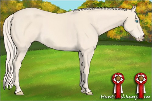 Horse Color: Cremello 