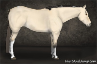 Horse Color:Buckskin Dun Tobiano