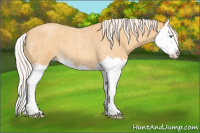 Horse Color:Gold Cream Champagne Roan Splash 