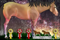 Horse Color:White Spotted Bay Splash 