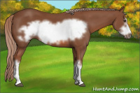 Horse Color:Liver Chestnut Frame