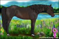 Horse Color:Gray Bay 