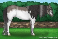 Horse Color:White Spotted Smoky Grullo Frame 