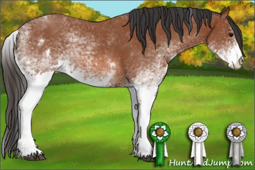 Horse Color: White Spotted Bay 