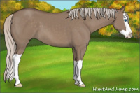 Horse Color:Silver Grullo Splash 