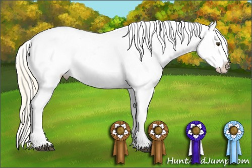 Horse Color: Palomino Dun Frame Near Leopard 