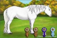 Horse Color:Palomino Dun Frame Near Leopard 
