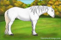 Horse Color:Buckskin Dun Varnish 