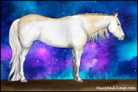 Horse Color:Silver Amber Cream Champagne Dun Splash Frame