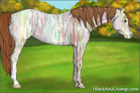 Horse Color:Chestnut Ice 